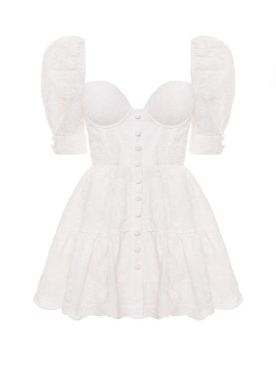 DSC_3589 копія (1)